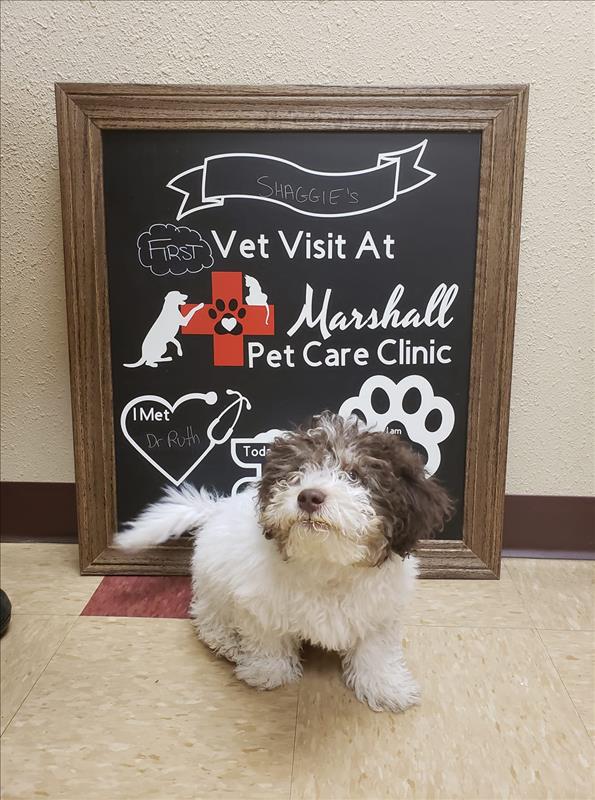 Marshall Pet Care Clinic - Marshall, WI - Slider 4
