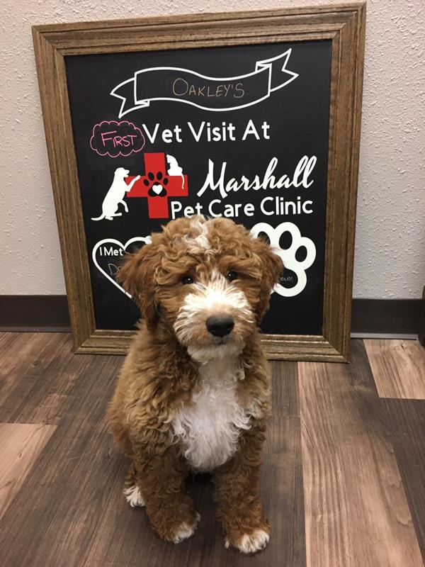 Marshall Pet Care Clinic - Marshall, WI - Slider 26