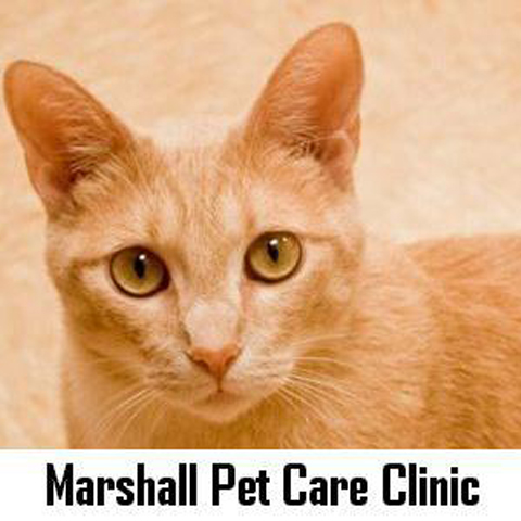 Marshall Pet Care Clinic - Marshall, WI - Logo